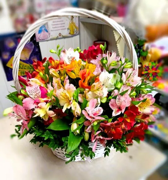 Альстромериум