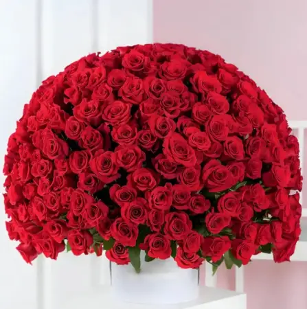 Букет из 301 красной розы