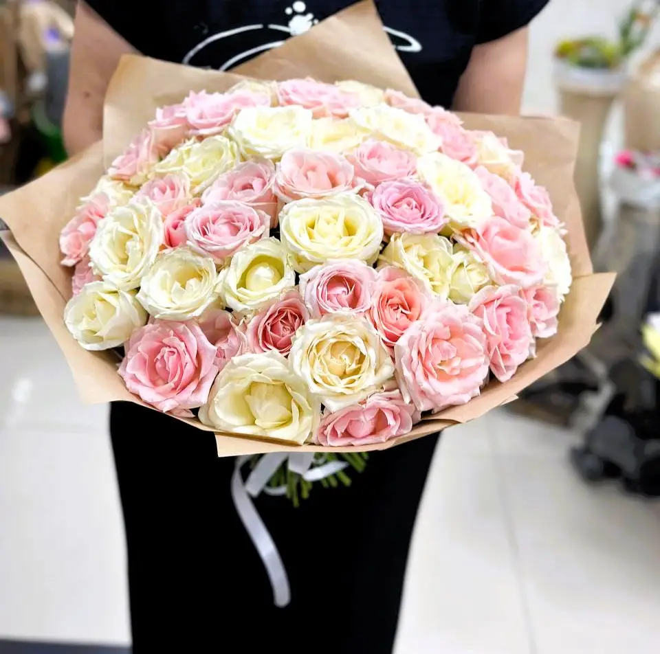 51 пионовидная  белая и розовая роза