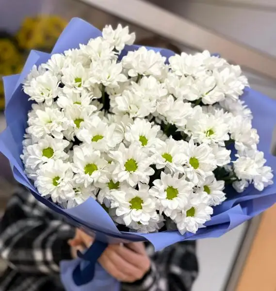 Ромашка в небе