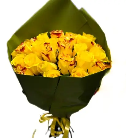 Ясно солнышко