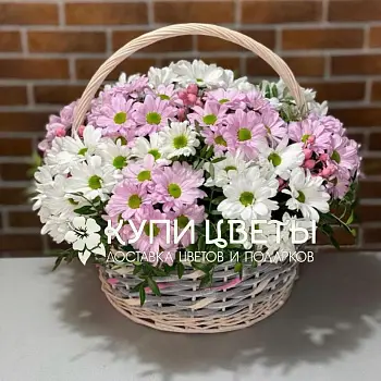 Королевский Шарм: