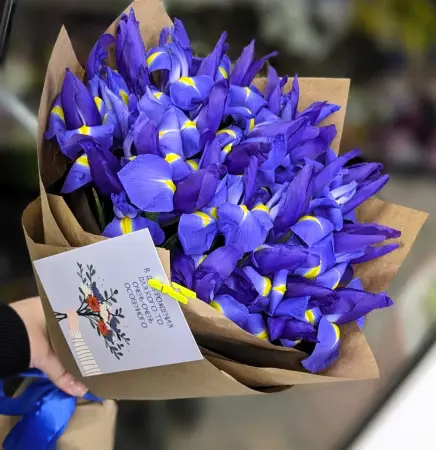 Просто Ирисы