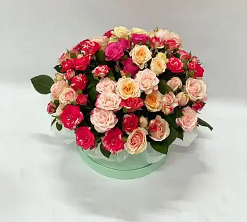 Шляпная коробка : "Созвездие"