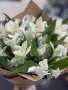 Тихая гармония