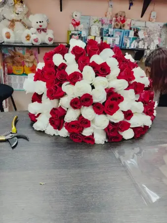 101 красно-белая роза