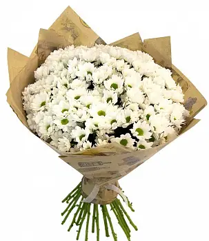 Привет Ромашки